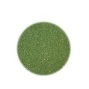 Barattolo Polvere Glitter N. 18 Verde Chiaro